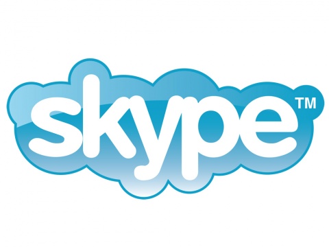 Bulgaria: Skype Suffers Mysterious Global Crash