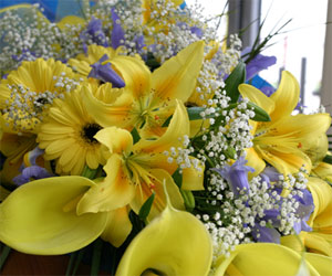 Bulgaria: Ladies Celebrate International Holiday