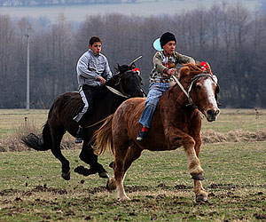 Bulgaria: Horse Races Mark Todorovden in Bulgaria