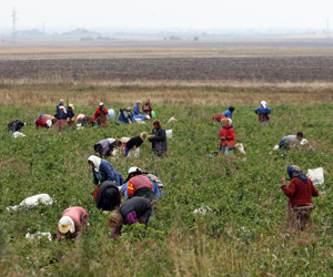 Bulgaria Global Warming Might Deprive Bulgaria of Its Agriculture: Global Warming Might Deprive Bulgaria of Its Agriculture