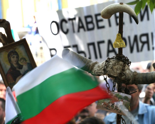 Bulgaria Milk Farmers in Bulgaria Rally for Subsidies March 25: Milk Farmers in Bulgaria Rally for Subsidies March 25