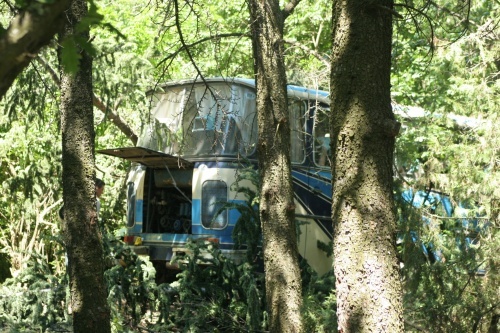 Bulgaria Reporters Film Illegal Driver,s License Purchase Day before Tragedy: Bulgaria TV Films Driver's License Purchase in Tragedy's Wake