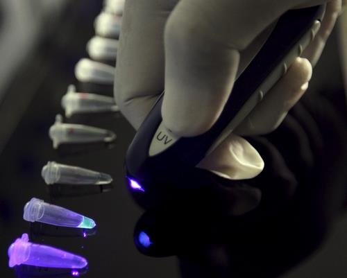 Latest Suspicious Swine Flu Cases in Bulgaria Prove Negative: Latest Suspected Swine Flu Cases in Bulgaria Prove Negative