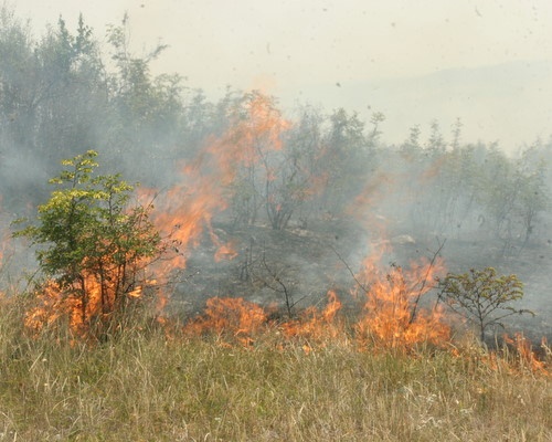 Bulgaria Bulgaria Army Helps Fire Extinguishing in Stara Zagora Region: Bulgaria Army Helps Extinguish Fire in Stara Zagora Region