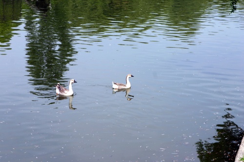 Bulgaria Marks Volunteer Day: Bulgaria Marks Volunteer Day