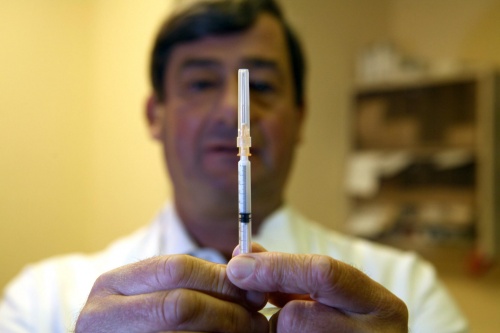 Half of Bulgaria Regions Face Swine Flu Epidemic: Half of Bulgaria Regions Face Swine Flu Epidemic