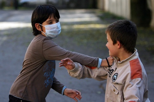 Bulgaria Targovishte Region Declares Swine Flu Epidemic: Bulgaria Targovishte Region Declares Swine Flu Epidemic