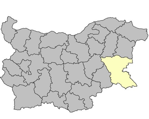 Bulgaria: Southeast Bulgarian Districts Declare Swine Flu Epidemic