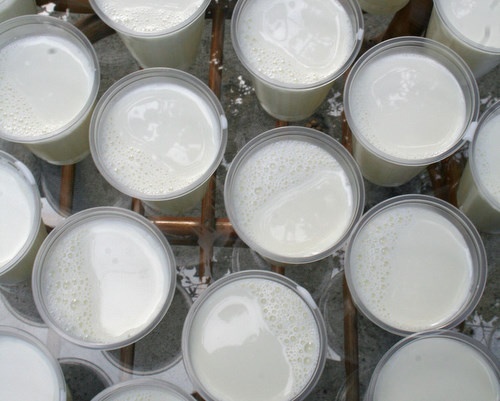 Bulgaria: Brussels Shuts Down Nearly 70 Bulgarian Companies