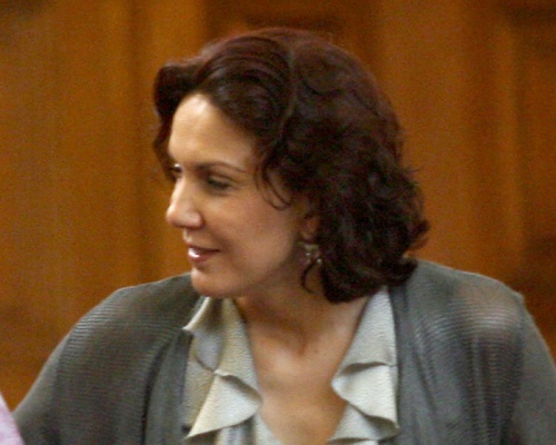 Bulgaria: Liberal MEP: Bulgaria Needs to 'Wash Its Face'