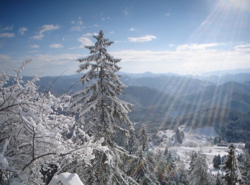 Bulgaria: Poor English Leads to Blunder, No Missing UK Tourists in Bulgaria