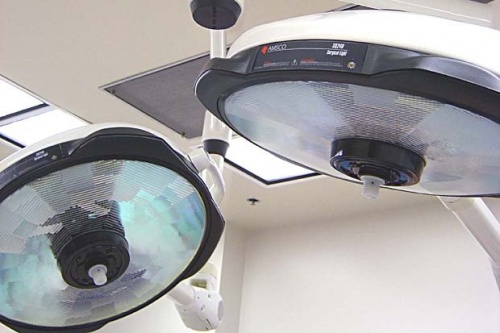 Bulgarians Lag Behind EU Partners in Organ Donations: Bulgarians Lag Behind EU Partners in Organ Donations