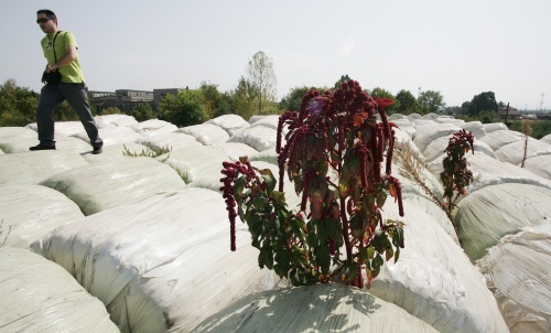 Bulgaria: Sofia Vows to Solve Garbage Problems by Year-End