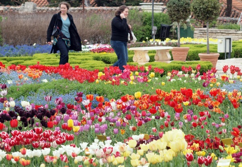 Bulgaria: New Chapter in Saga over Bulgaria’s Botanical Garden Ownership