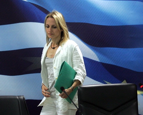 Bulgaria: Bulgarian, Greek Energy Heads Talk Gas Pipeline Link