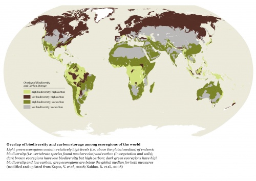 Bulgaria: WWF: Average Bulgarian Uses 1.8 Times Planet's Resources