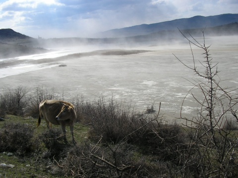 Bulgaria: Bulgaria on Alert over High Dust Levels