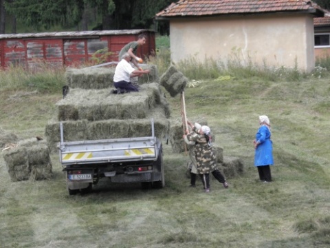 Bulgaria: Bulgaria's Rural Areas to Benefit with BGN 136 M