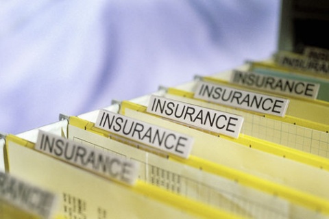 Bulgaria: Bulgaria's Insurance Market Shrinks by 3.1% in 2010 Y/Y