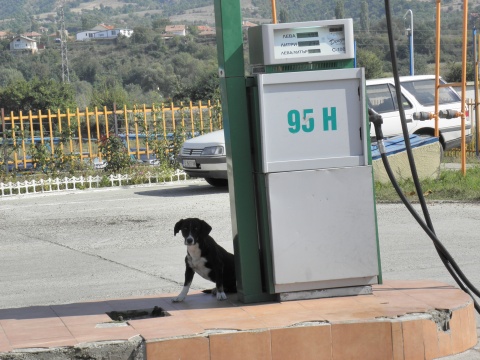 3 Bulgarian Ministries Mull Taming Fuel Prices: 3 Bulgarian Ministries Mull Taming Fuel Prices