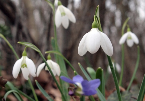 Bulgaria: Cold, Cloudy First Day of Spring in Bulgaria