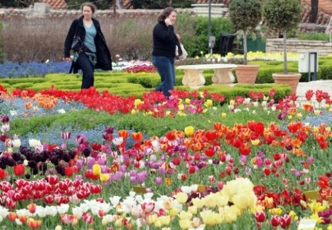 Bulgaria: Sofia University Closes Doors, Fights for Botanical Garden