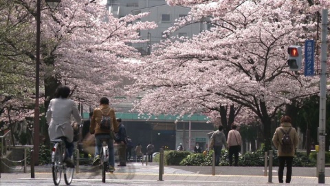 Bulgaria: 6.3 Earthquake Shakes Japan, No Tsunami Warning