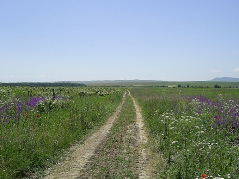 Bulgaria: Irish Island Renewable Energy to Build Wind Park in Bulgaria