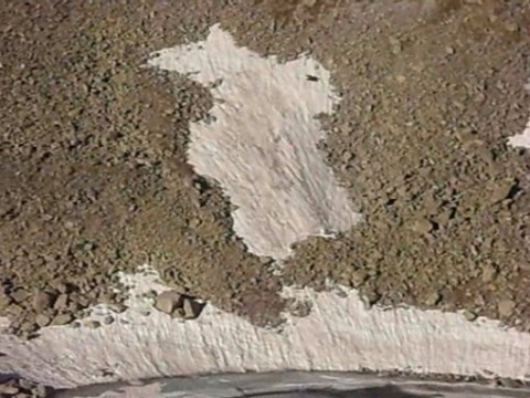 Bulgaria: Brown Bear Spotted at Alpine Altitude in Bulgaria