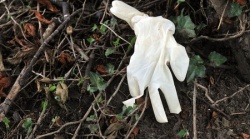 Bulgaria: NGO Outraged at Police, Media over Reaction to Brutal Murder in Bulgaria