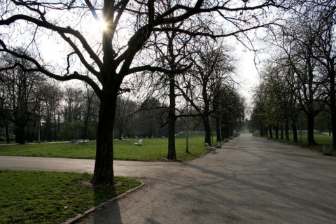 Bulgaria: Body of Strangled Young Woman Found in Lively Sofia Park