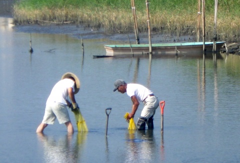 Bulgaria: 4 700 Japanese Missing 5 Months after March 11 Earthquake