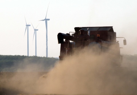 Bulgaria: High Demand for Bulgarian Wheat, Kosovo, Jordan Major Bidders