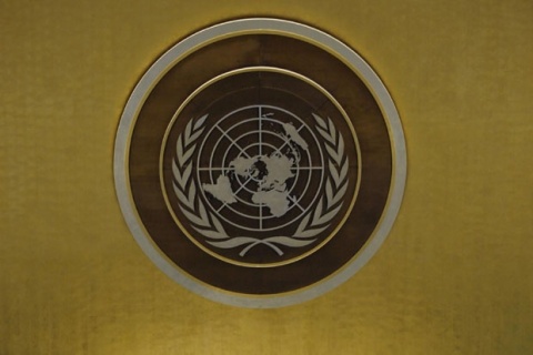 People across Globe Back Palestine's UN Bid - Poll: People across Globe Back Palestine's UN Bid - Poll