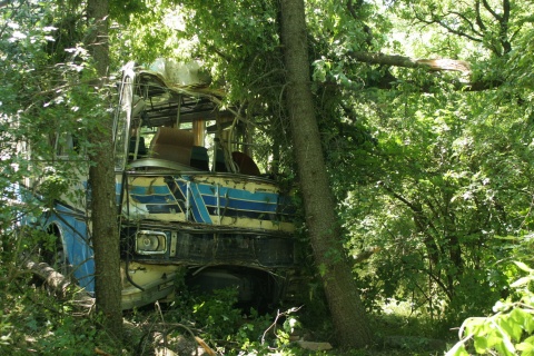 Bulgaria: Bulgarian Driver of 2009 'Killer Bus' Attempts Suicide