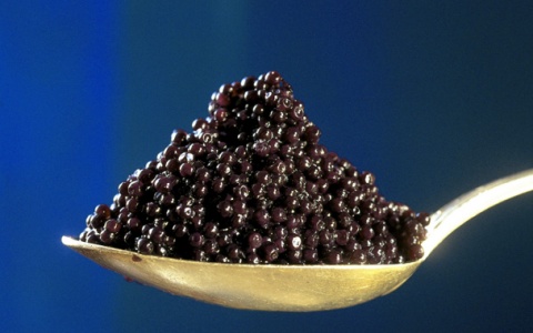 Bulgaria: Illegal Sturgeon Caviar Trade Booms in Bulgaria, Romania - Report