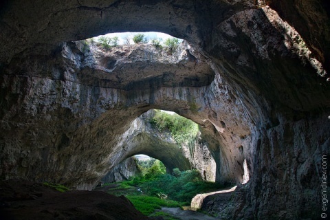 Bulgaria: Eco Activists Slam Bulgaria Govt for Covering Expendables from Bat Accusations