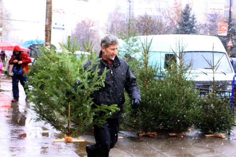 Bulgaria: Gift-Hunting Gets Hectic in Sofia Hours before Christmas