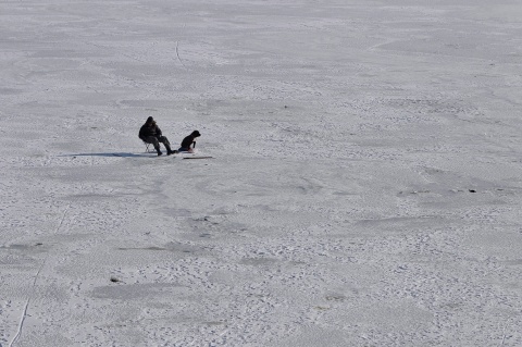 Bulgaria: Cold Wave Freezes Bulgarian Danube, Grounds Ships