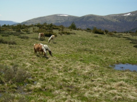 Bulgaria: Bulgaria to Get First Zero-Carbon Eco Village