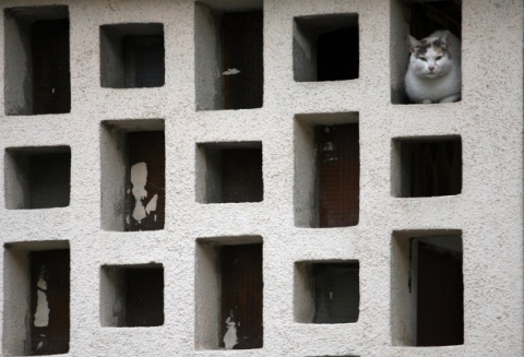 Bulgaria: Scientists: Bulgaria Got Very Lucky during Sofia Earthquake