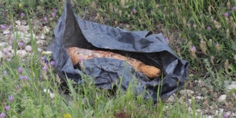 838 Explosives Found in Fields near Bulgaria's Blasted Ammo Depot: 838 Explosives Found near Bulgaria's Blasted Ammo Depot