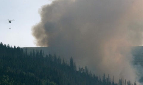 Mass Effort to Tame Vitosha Wildfire Launched near Sofia: Mass Effort to Tame Vitosha Wildfire Launched near Sofia