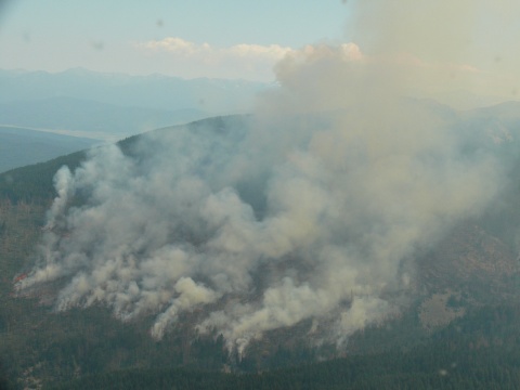 Bulgaria: Firefighters Battle New Large Wildfire in Bulgaria