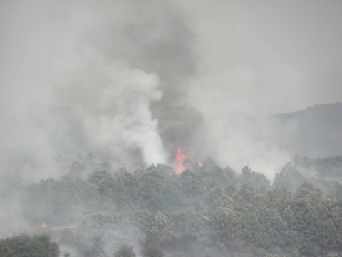 Bulgaria: Wildfire Threatens Bulgarian Military Chemical Depot