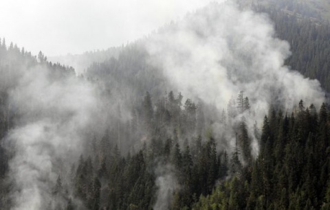 85 Attempt to Tame Bulgaria's Rila Mountain Wildfire by Hand: 85 Attempt to Tame Bulgaria's Rila Mountain Wildfire by Hand