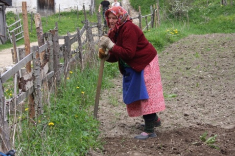 Bulgaria: Bulgaria's SE, NW Regions with Shortest Life Expectancy in EU