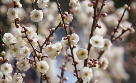 Bulgaria: Astronomical Spring Arrives in Bulgaria