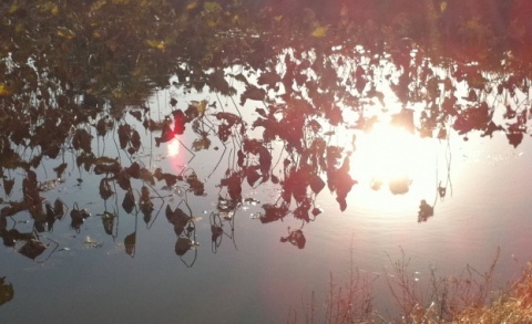 Bulgaria Basks in Summer-Like Heat: Bulgaria Basks in Summer-Like Heat