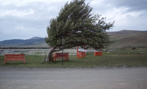 Bulgaria: Bulgaria Declares Code Yellow over Gusty Winds